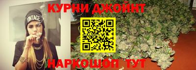 дмт Кингисепп