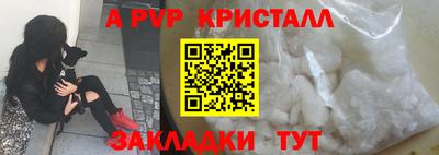дмт Кингисепп