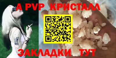 дмт Кингисепп