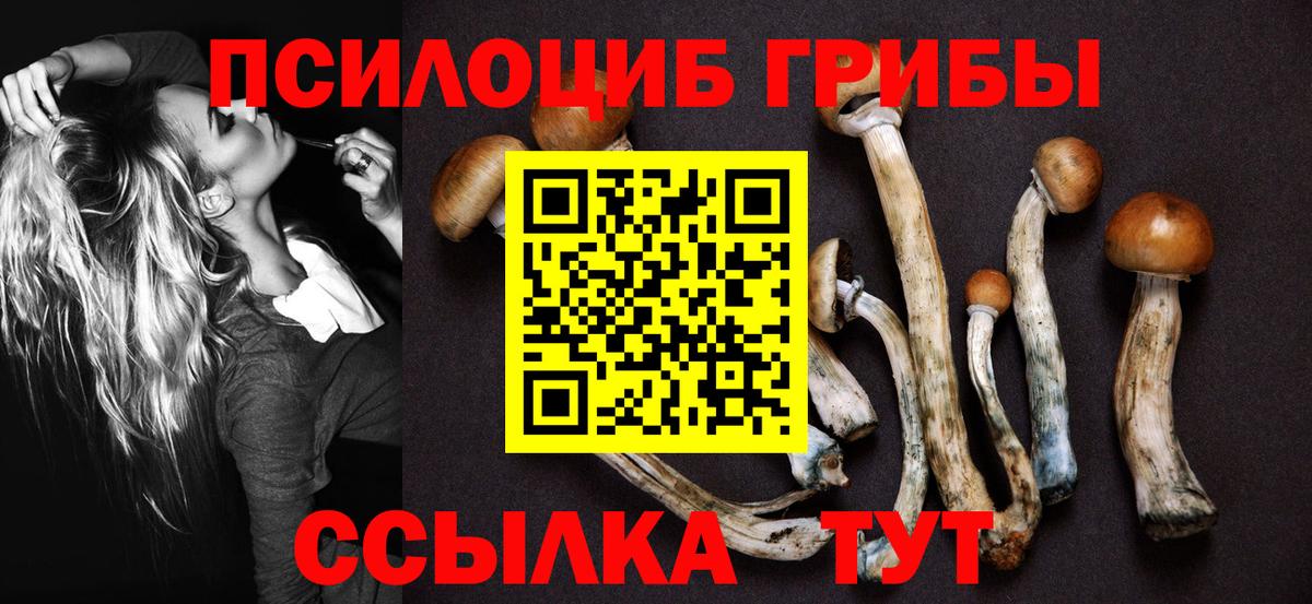Коркино  Галлюциногенные грибы Cubensis  Вход с VPN 